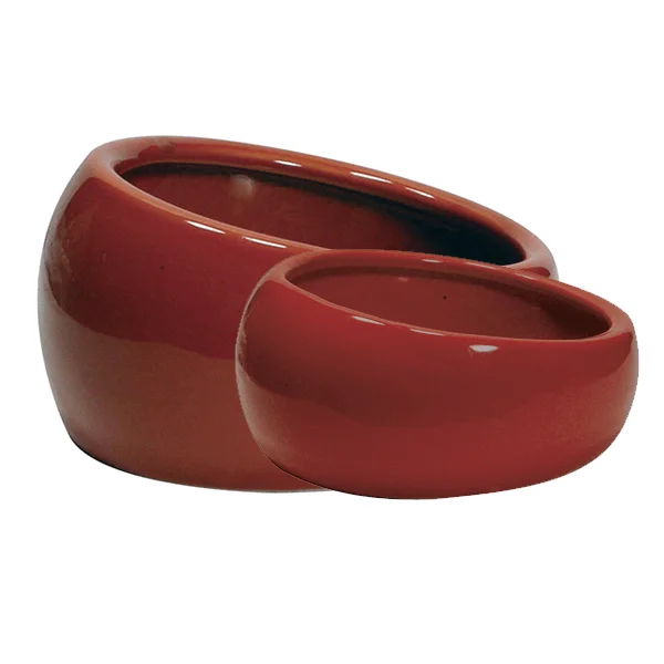 Living World Ergonomic Ceramic Dish