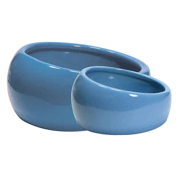 Living World Ergonomic Ceramic Dish