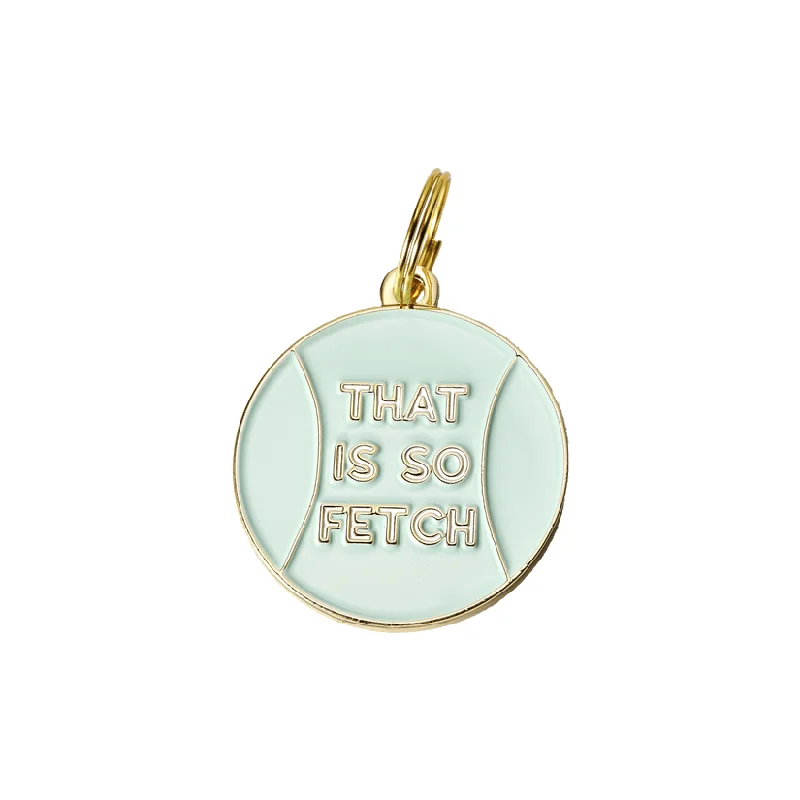 That is So Fetch Pet ID Tag