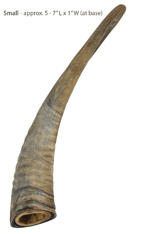 Gobi Goat Horn Natural Dog Chew