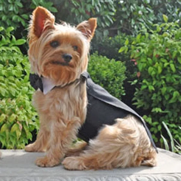 Black Tuxedo Suit for Dogs with Tails, Bow Tie, and Cotton Collar